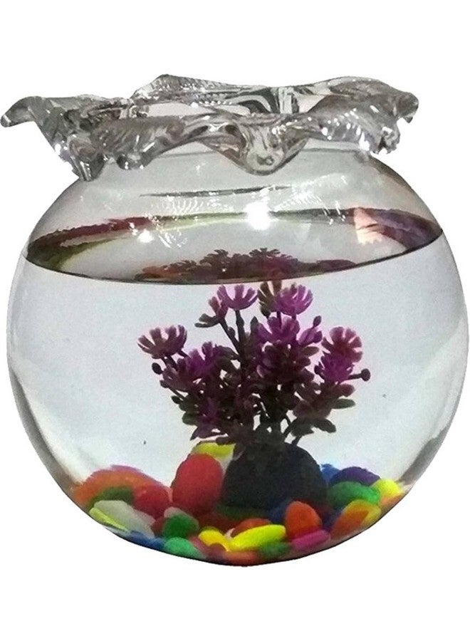 Somil Clear & Transparent Decorative Glass Fish Pot for Zoom View, Indoor Home, Room, Table Top, Dia -6 Inch, 15 X 15 X 15 Cm - Image 1